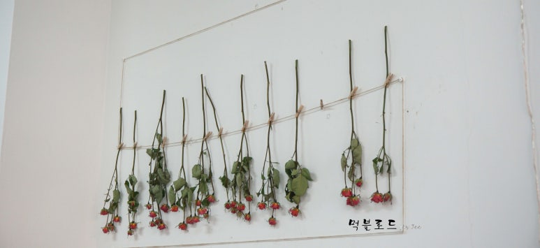 달콤함을담다 이미지
