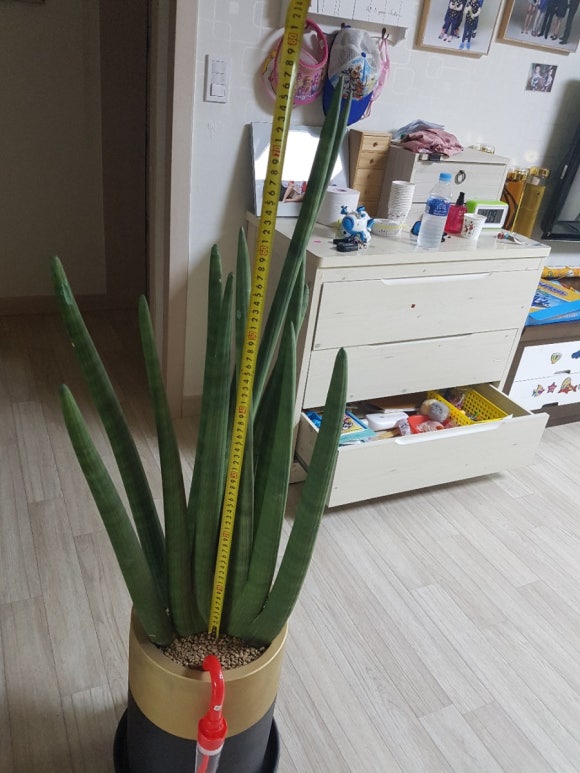 애림농원 이미지
