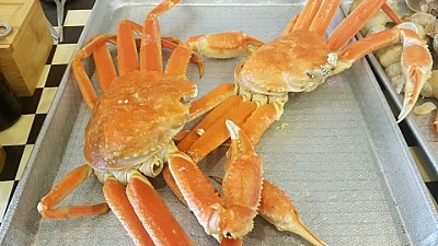대구수산 이미지