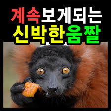 하나샤브샤브 이미지
