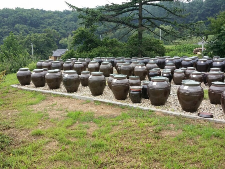 맹골사랑 이미지