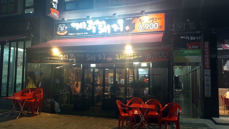제주부리는돼지 이미지