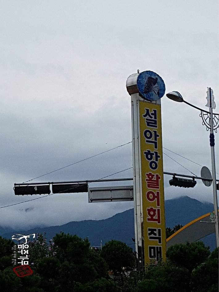 창성호횟집 이미지