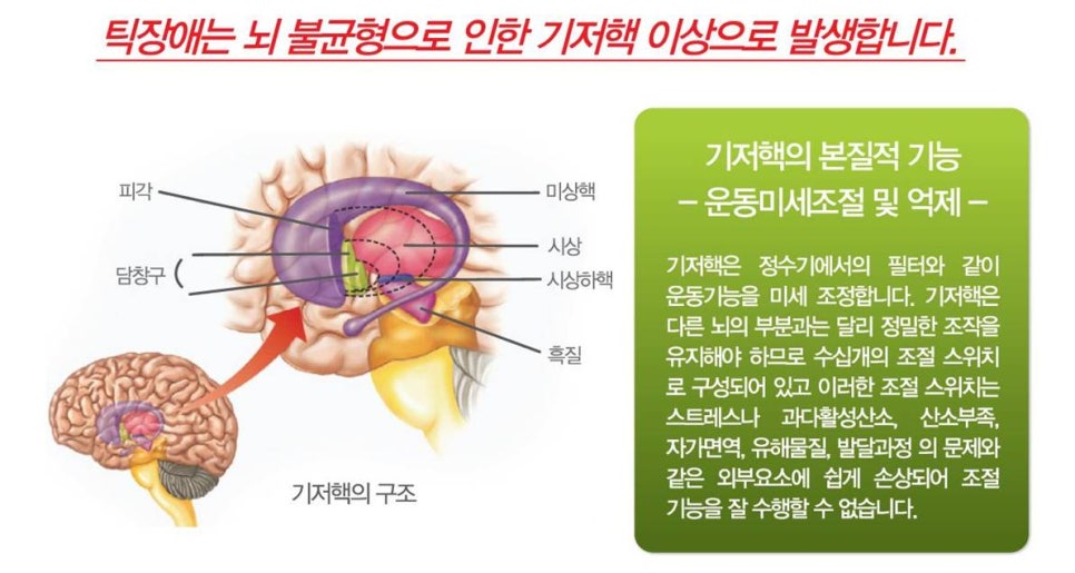 밸런스브레인노원센터 이미지