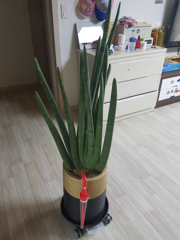 애림농원 이미지