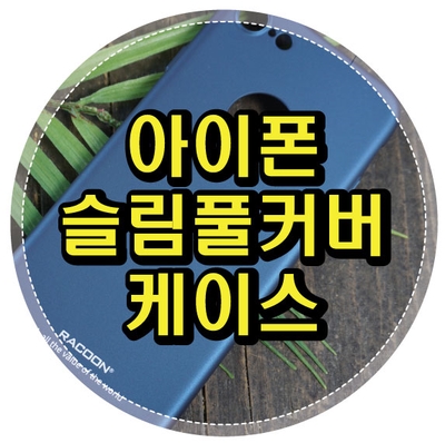 라쿤(Racoon) 이미지