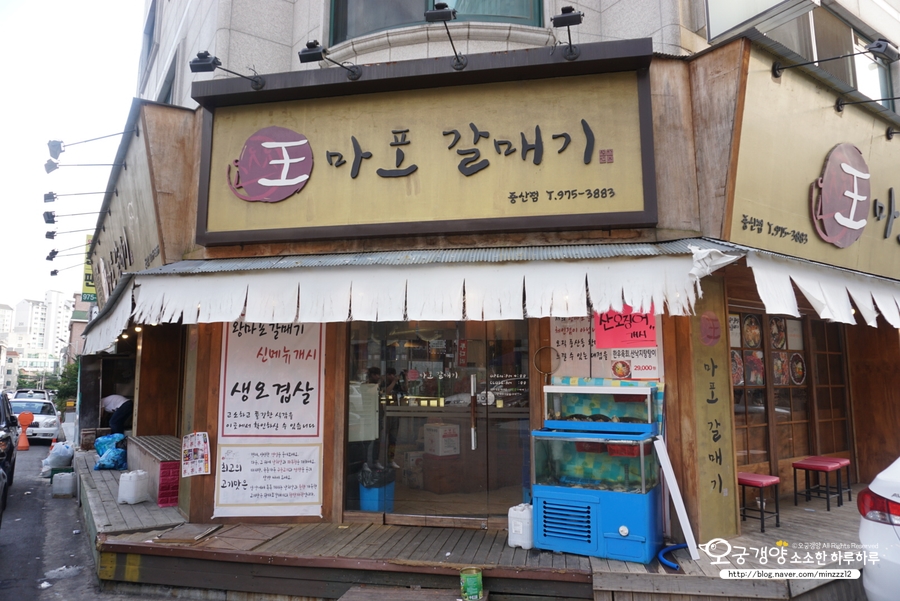 왕마포갈매기 이미지
