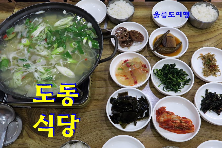 오징어여행사 이미지