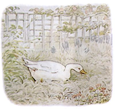 바보오리농장 이미지