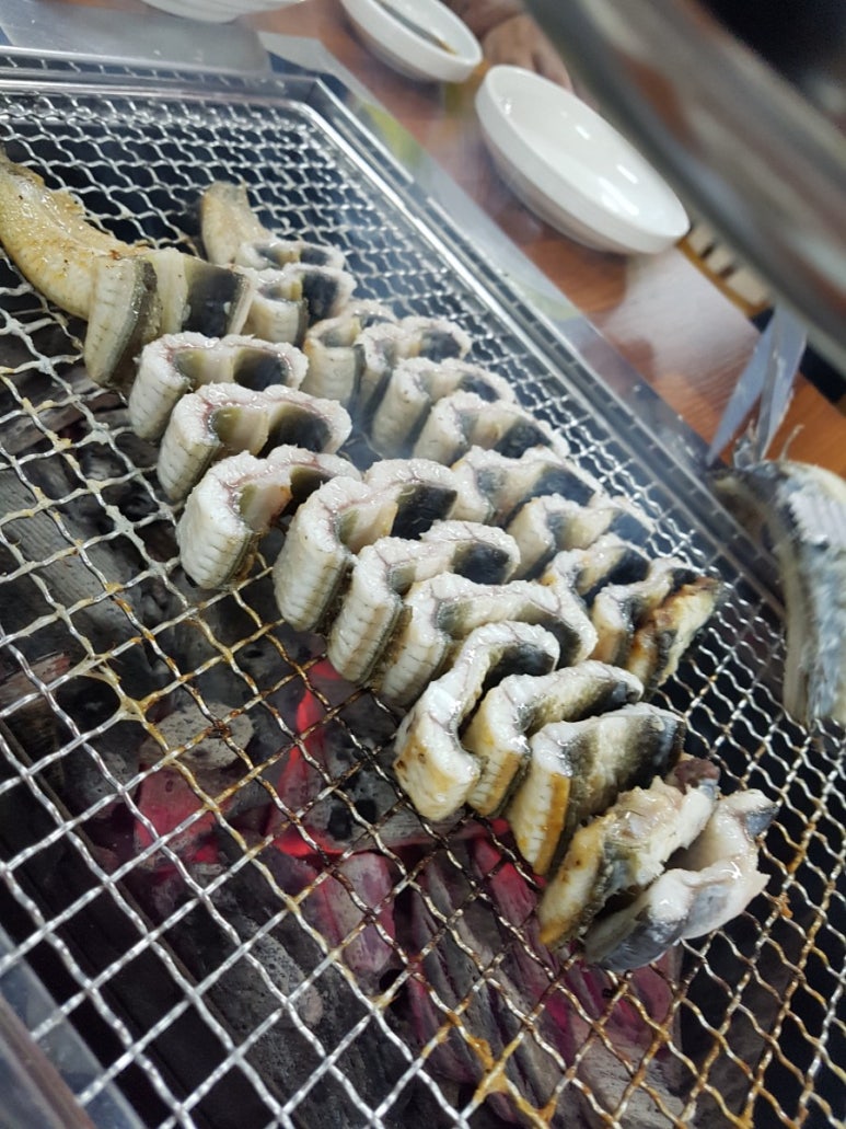 힘센장어오리 이미지