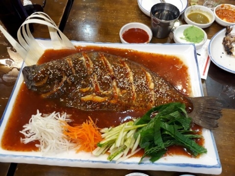 시크헤어 이미지