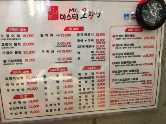 미스터오징어 이미지