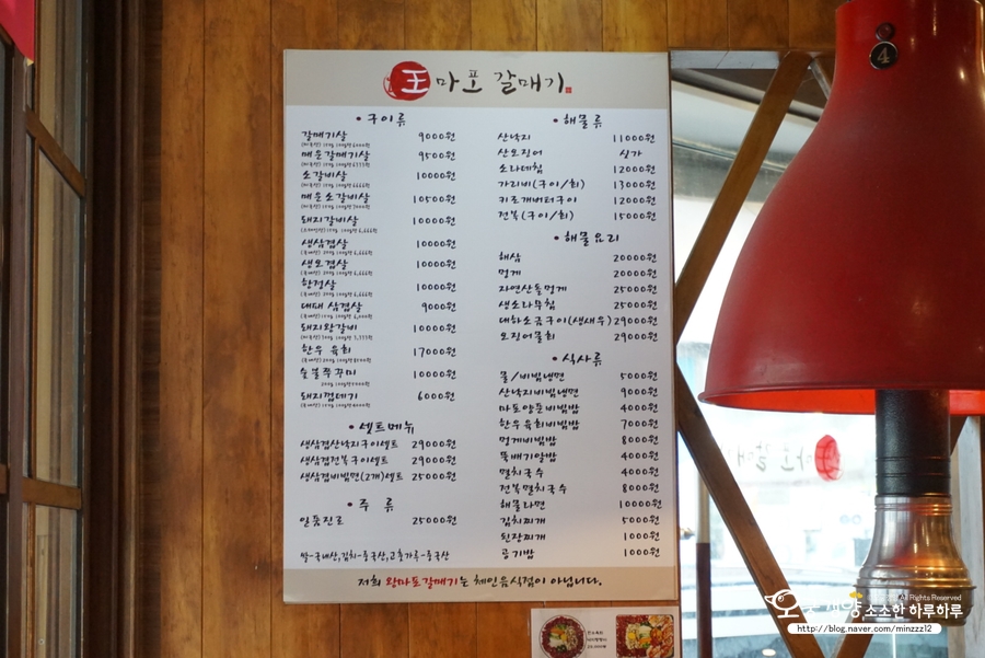 왕마포갈매기 이미지