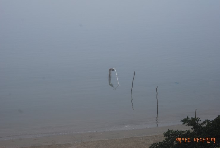 바다민박 이미지
