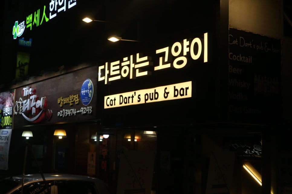 펍다트 이미지