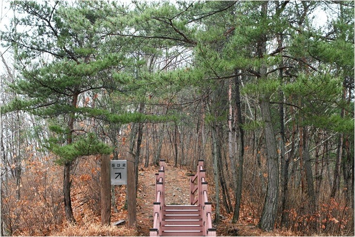 청송자연휴양림 이미지