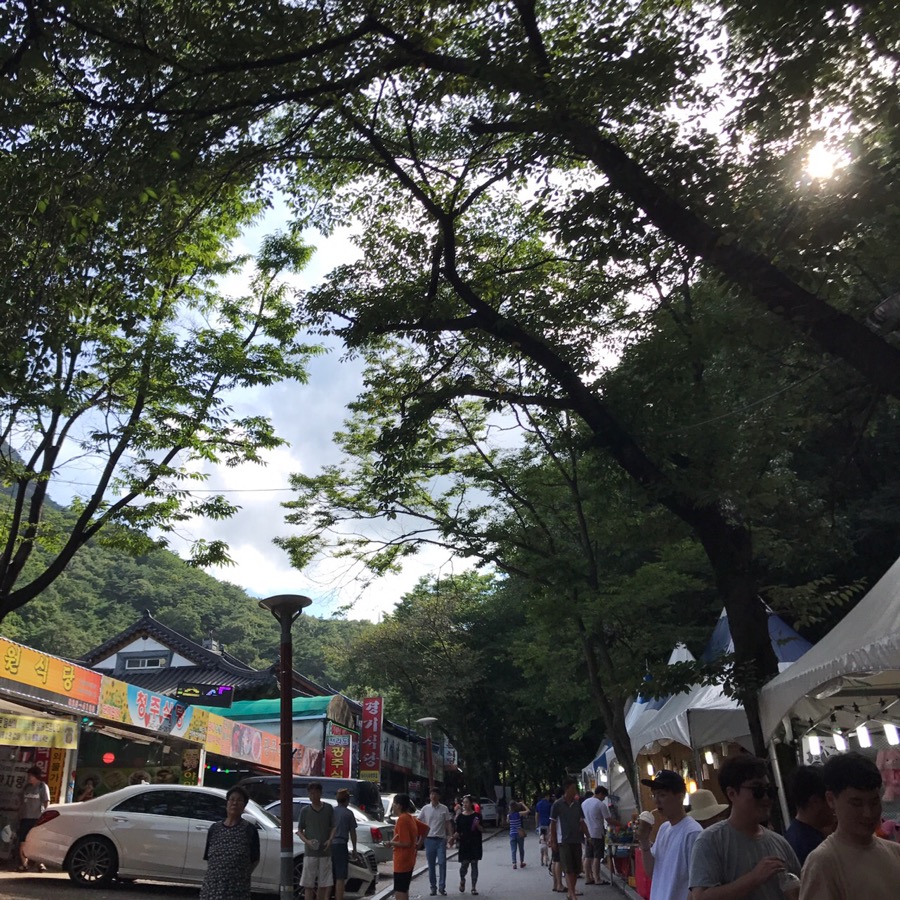 보네찬스 이미지