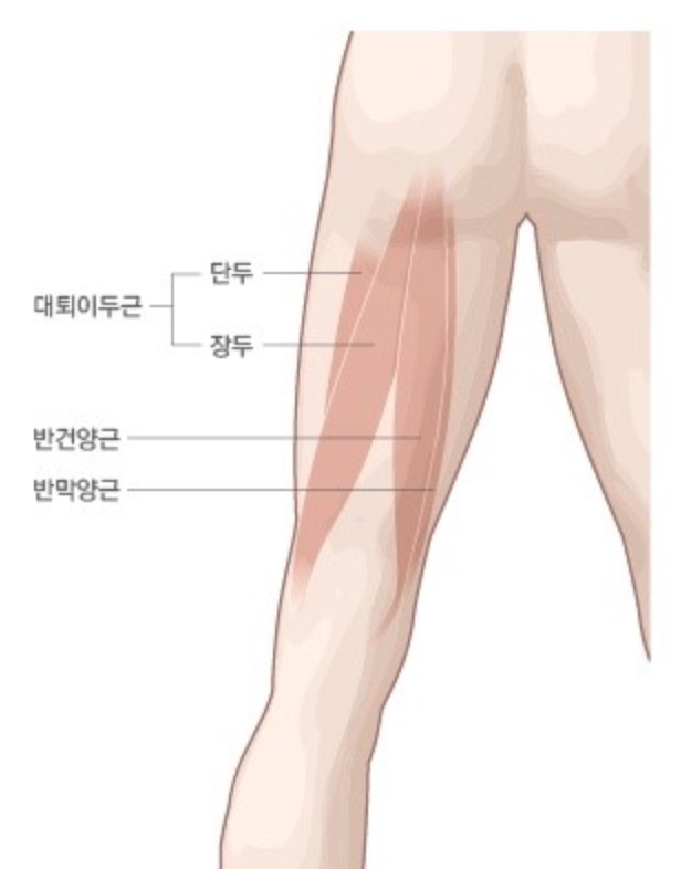 굿모닝휘트니스 이미지