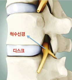 온리유휘트니스 이미지