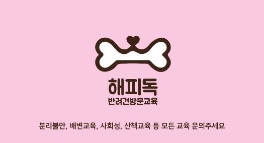 해피독반려견방문교육 이미지