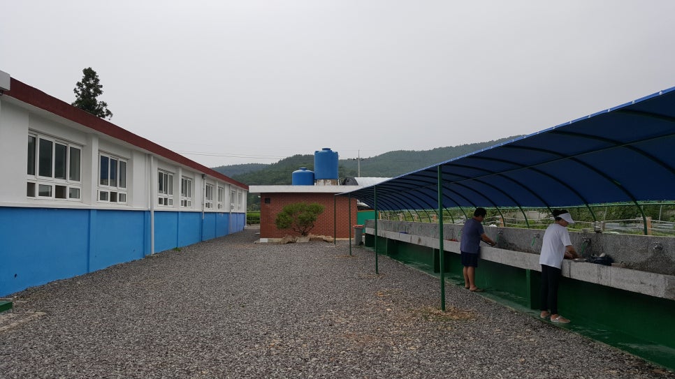 고성잔디캠핑장 이미지