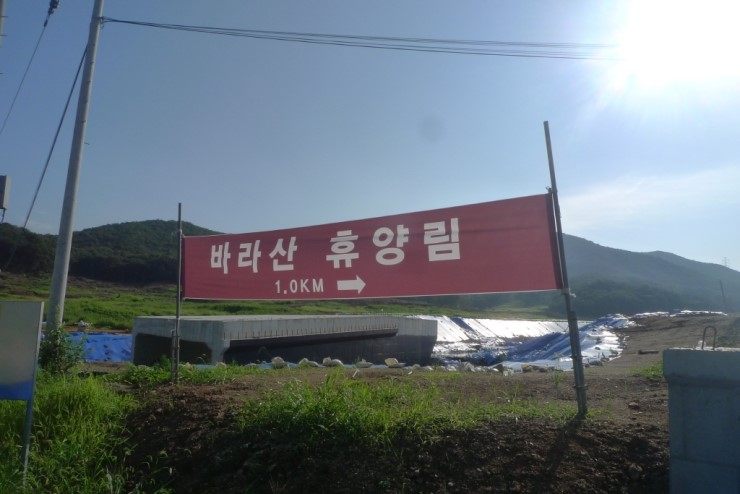 백운산숲속의아침 이미지