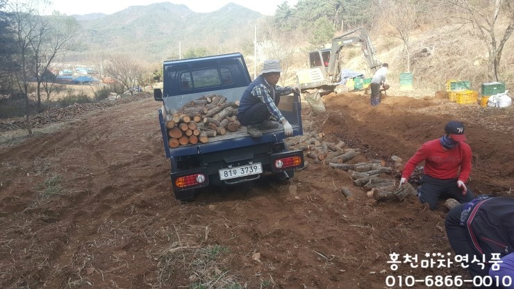 천마자연식품 이미지