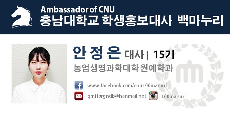 대전대문중학교 이미지