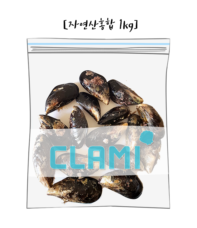 섭 이미지