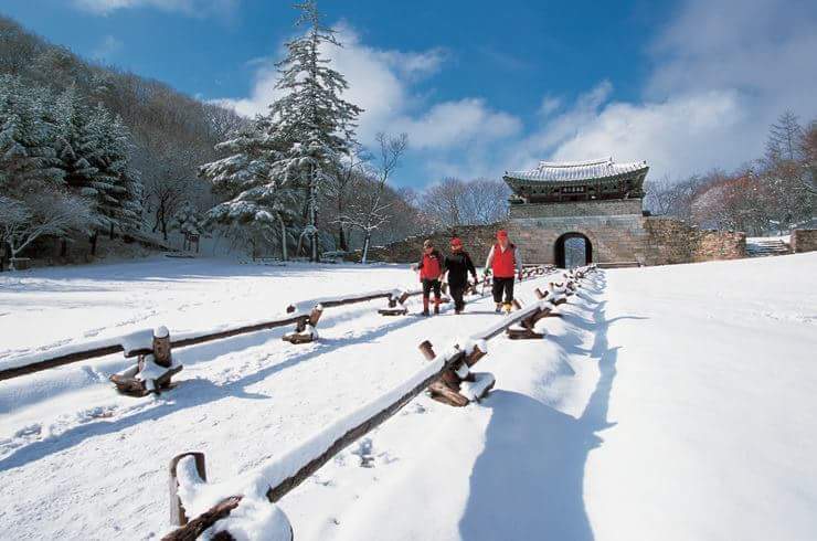 (주)우진 이미지
