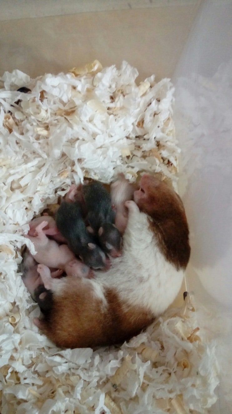 찍 이미지