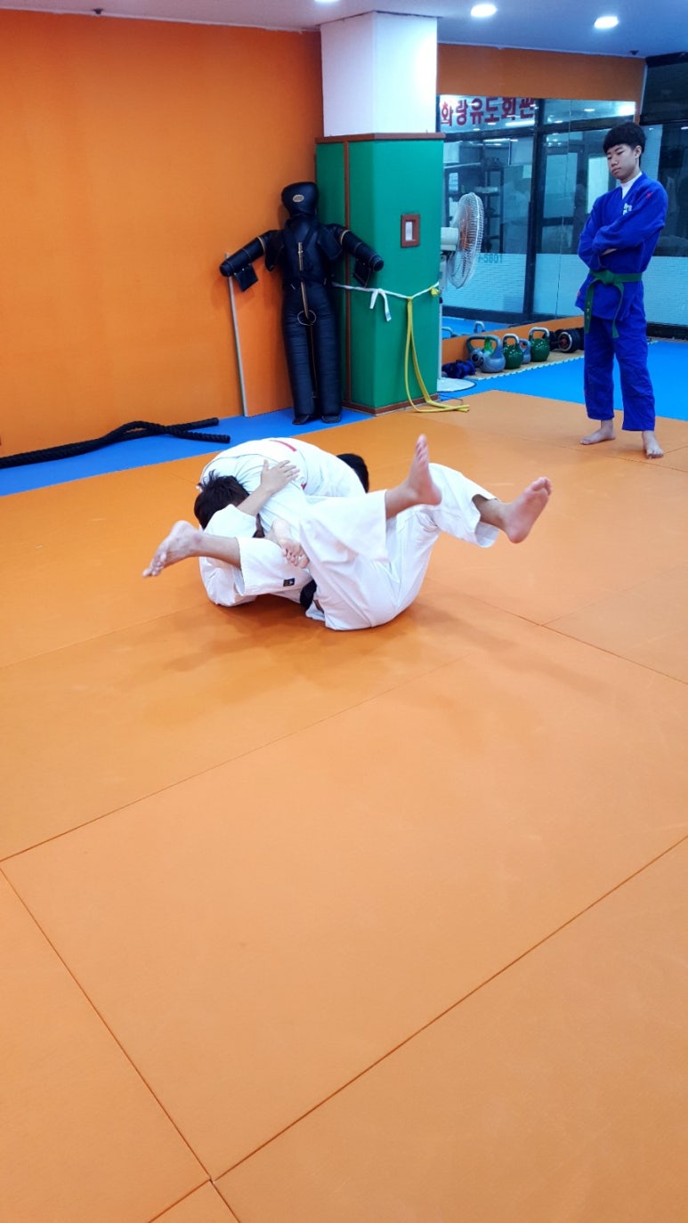 삼보트라이 이미지