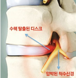온리유휘트니스 이미지