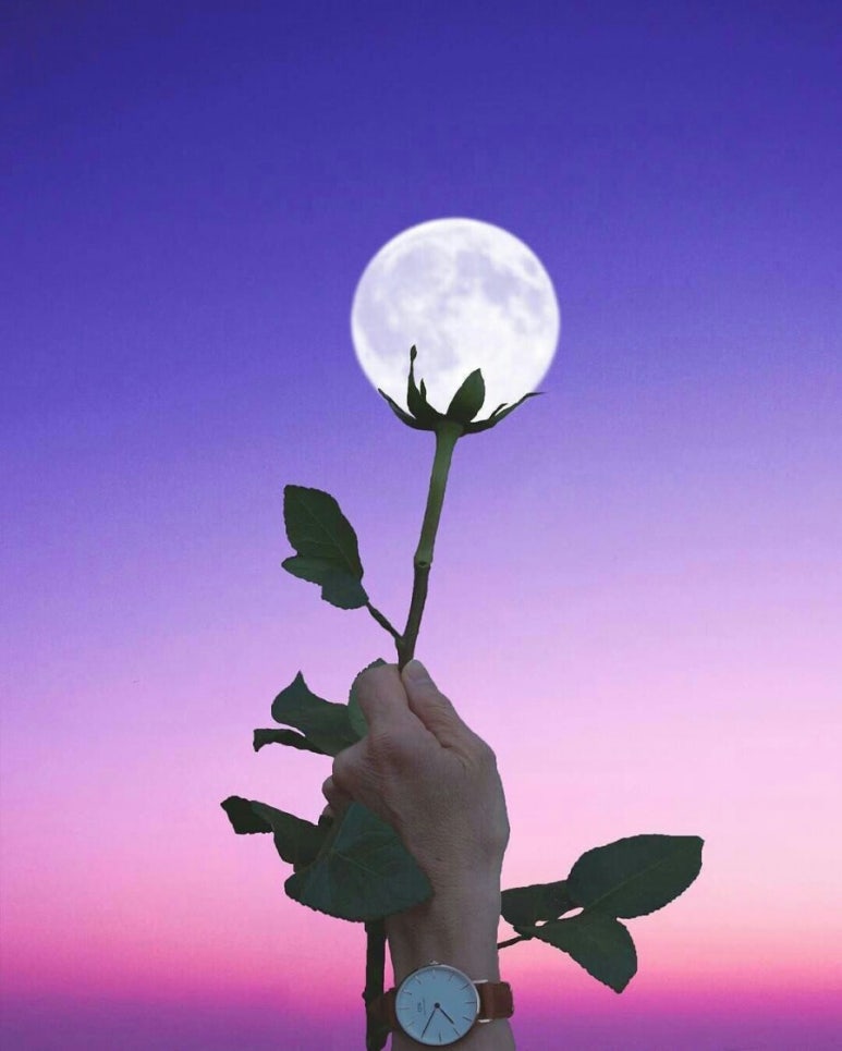 일상선물 이미지