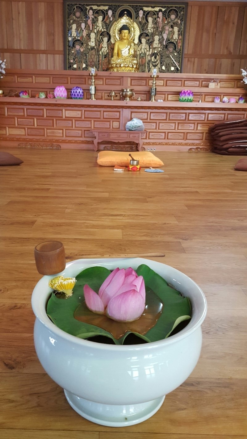 사계절꽃차 이미지