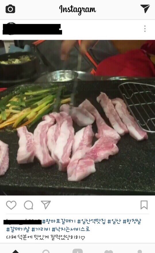 왕마포갈매기 이미지