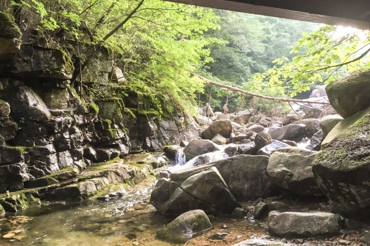 도림사계곡민박 이미지