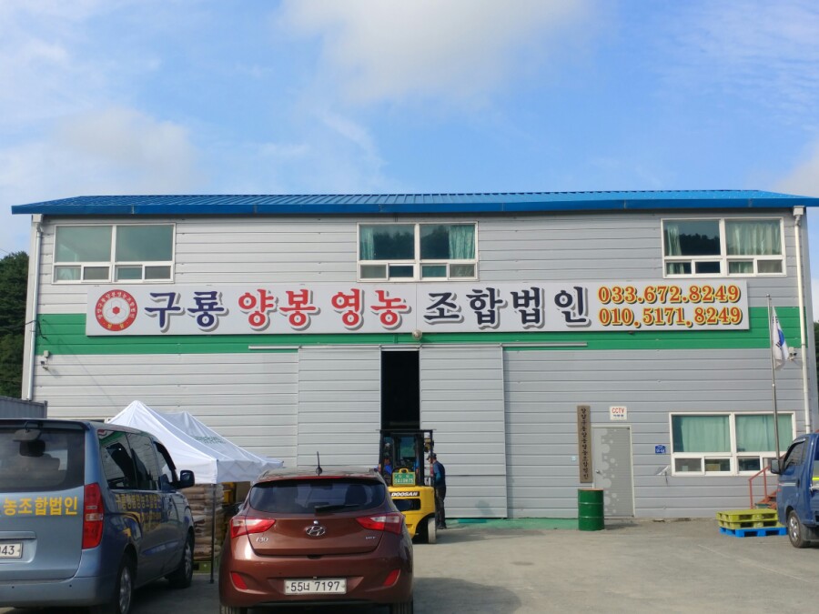 법인구룡 이미지