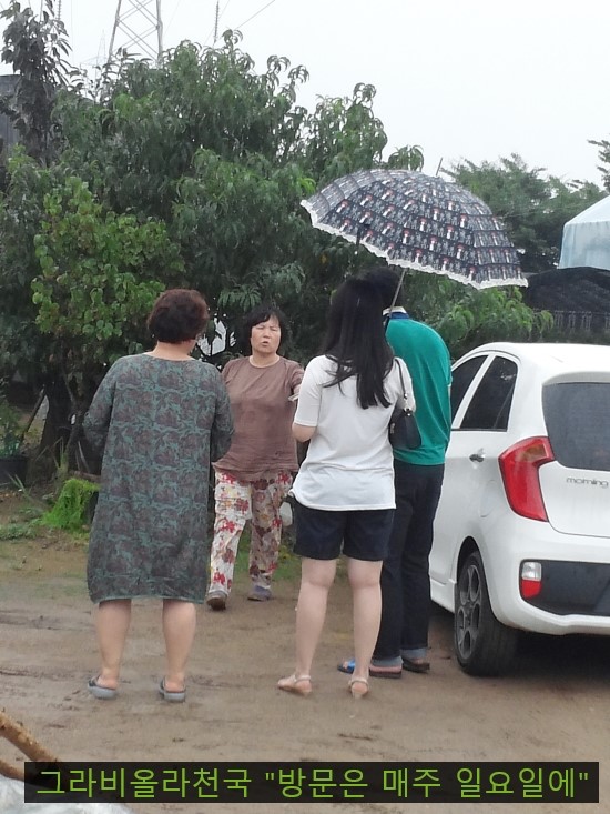 고봉밥상 이미지