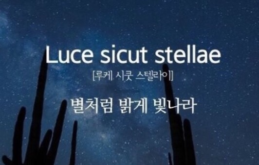 디엔타투 이미지