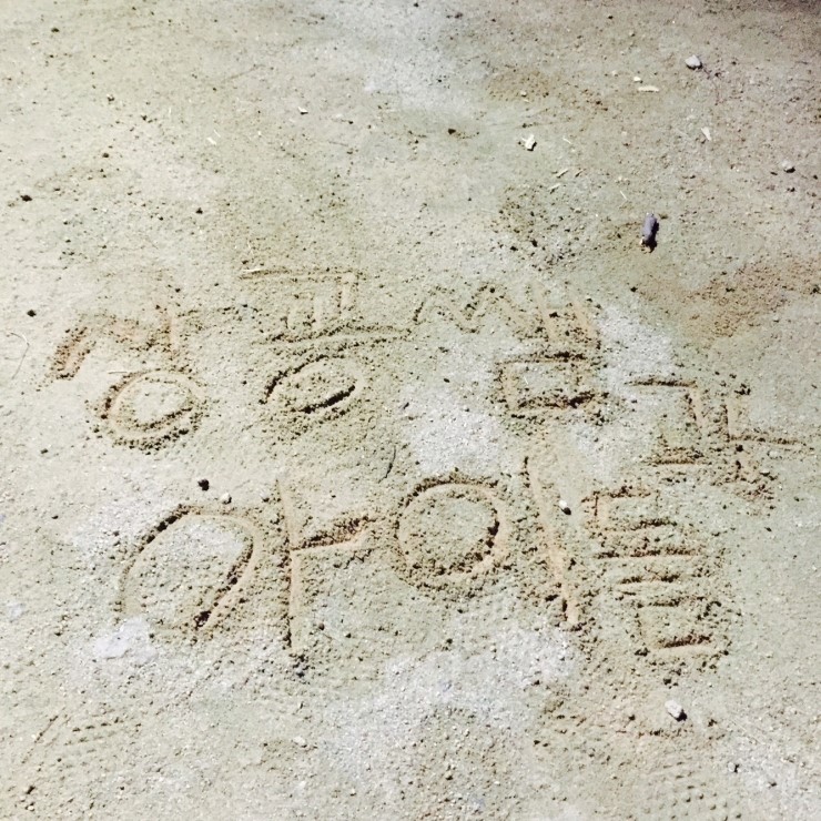 네잎클로버음악학원 이미지
