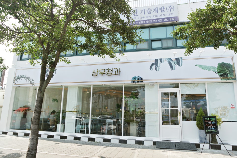 싱싱청과 이미지