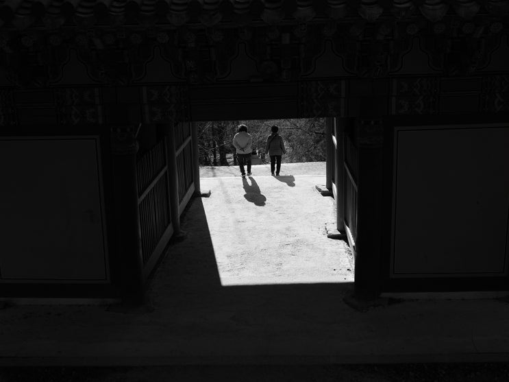 경주게스 이미지