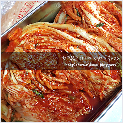 성경유통 이미지