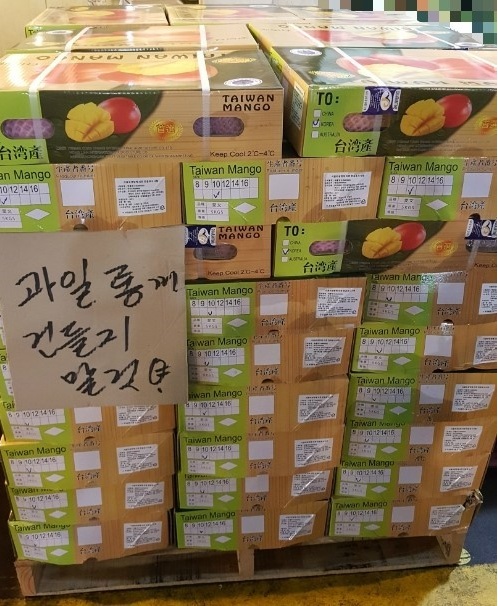 (주)애플망고 이미지