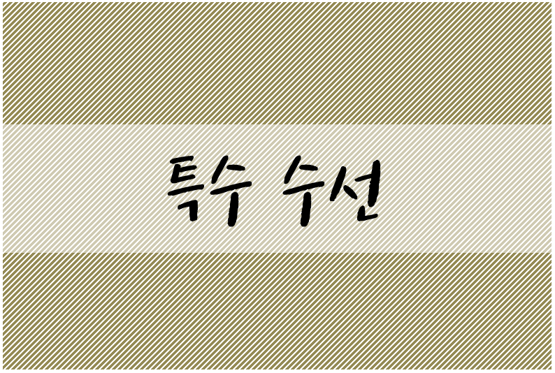 현대세탁수선 이미지