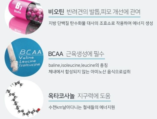 이루다컴퍼니 이미지