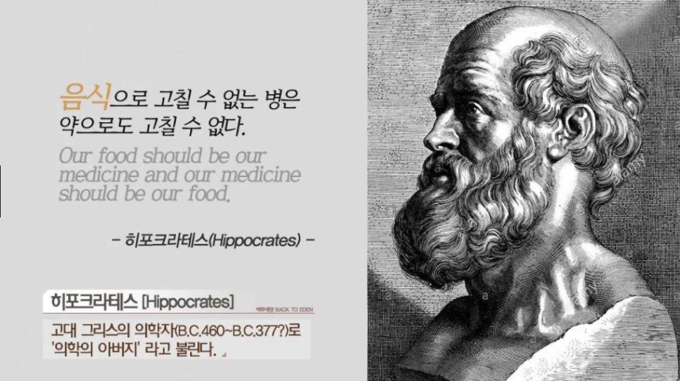 체담한방병원 이미지