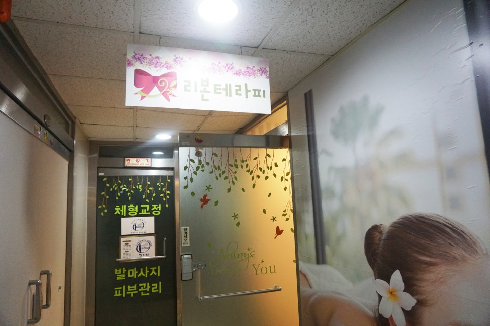 리본 테라피 이미지