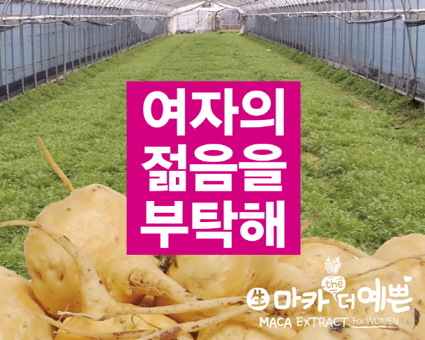 현대인 주식회사 이미지